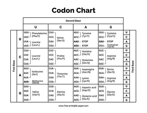 Arthur Conan Doyle Kutup Tren Istasyonu Mrna Amino Acid Chart Meditasyona Orta D Zey Mavi Balina