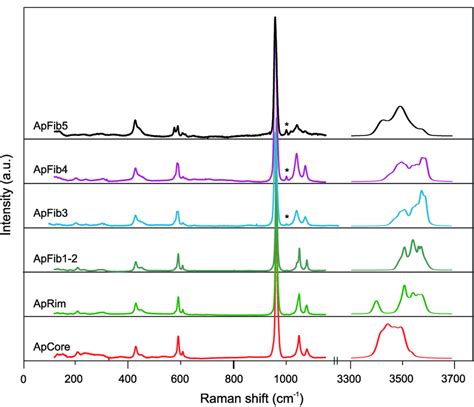 Raman Spectra Of Individual Apatite Types Recorded In The Range Of