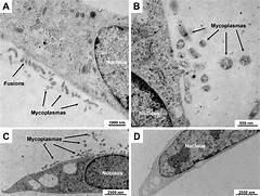 Demystifying Usp A Step By Step Guide For Hiring Success