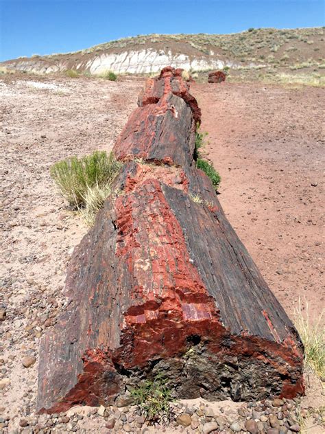 Petrified Forest National Park Top Places To See In Arizona