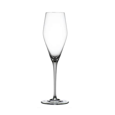 Spiegelau Hybrid Champagne Glass Germany Craftisen