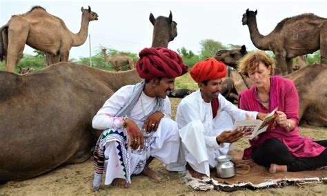 The International Year Of Camelids 2024 How Can It Benefit Camel