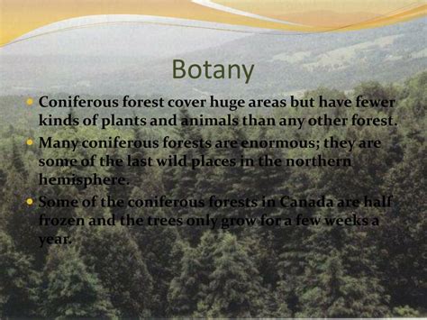 Ppt Northwestern Coniferous Forest Powerpoint Presentation Free