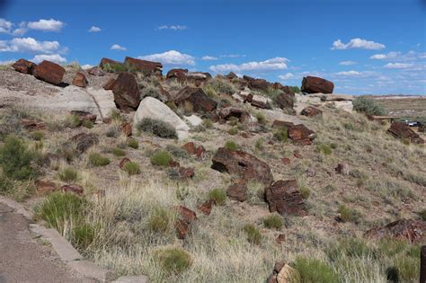 Les Voyages De Durandale Petrified Forest Painted Desert New Mexico