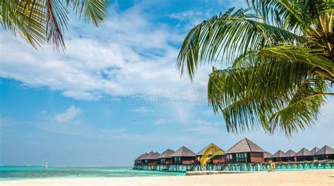 Wooden Bungalow On The Background Of A Sandy Beach With Tall Palm Trees