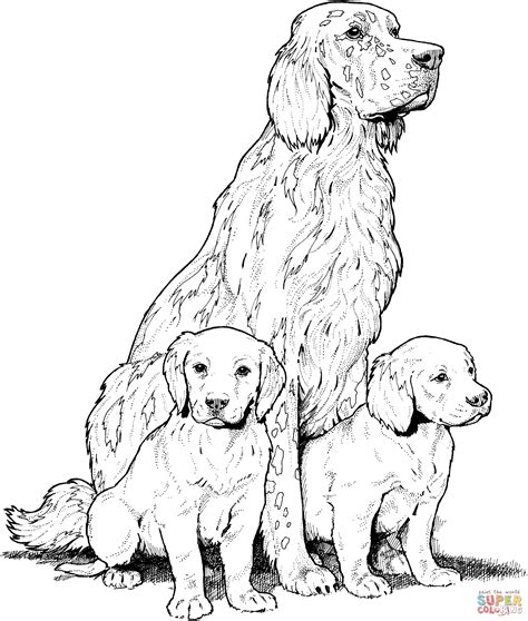 Labrador With Puppies Coloring Page Free Printable Coloring Pages