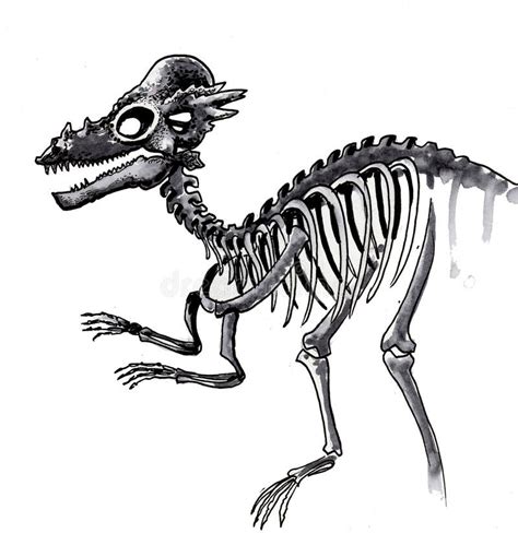 Dinosaur Skeleton Stock Illustration Illustration Of Background