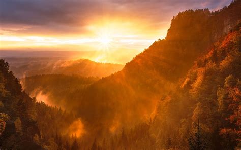 Forest Valley Day Starting Calming Sunrise 5k Macbook Air Wallpaper