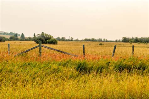 50 Chain Lakes Provincial Park Photos Stock Photos Pictures And Royalty