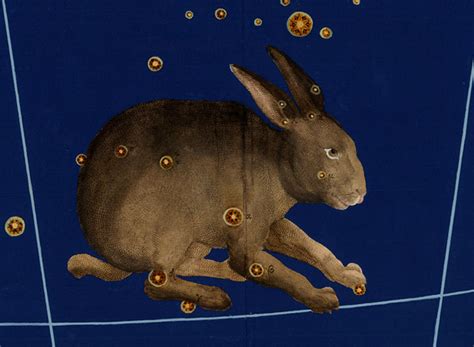Lepus Constellation Myths And Facts Under The Night Sky