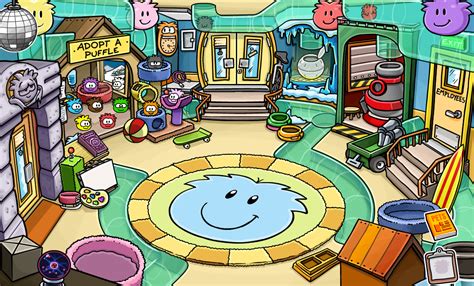 Preening is a very good thing in penguin the national zoo gets the purrfect resident: Pet Shop | Club Penguin Pookie Wiki | Fandom