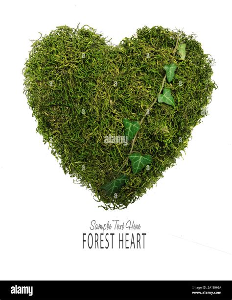 Green Forest Heart Stock Photo Alamy