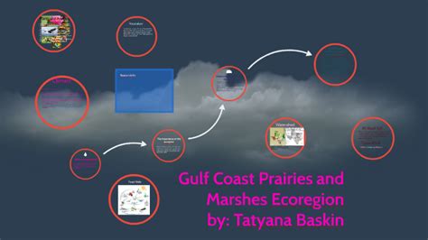 Gulf Coast Prairies And Marshes By Tatyana Baskin On Prezi