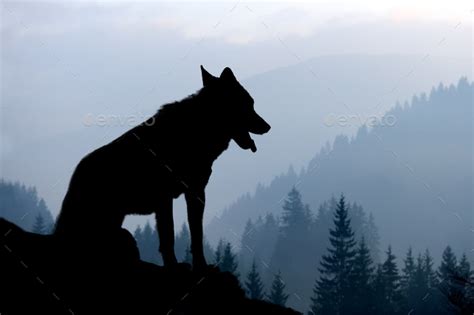 Wolf Silhouette On Mountains Background Stock Photo By Byrdyak Photodune