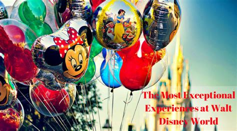 The Most Exceptional Experiences At Walt Disney World Magical Getaway Blog