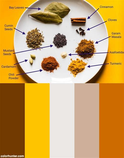 indian spices with labels color scheme from food colors palette indian spices