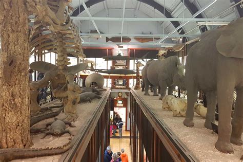 Natural History Museum Tring Book Festival