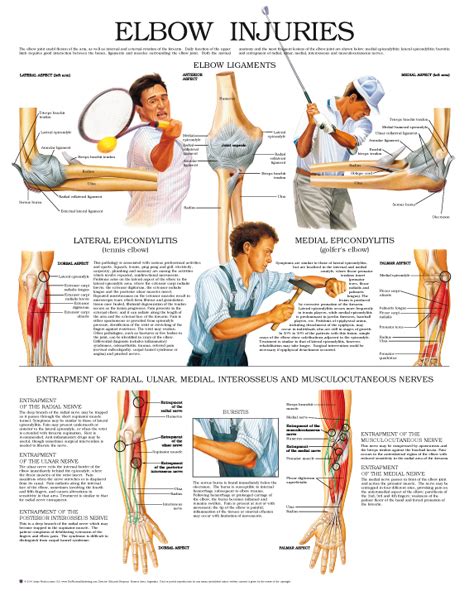 Elbow Injuries Anejo