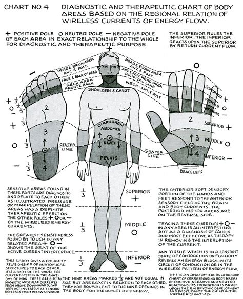 Polarity Therapy Volume 1 Book 2 Chart 04 Polarity Therapy Acupressure Healing Modalities