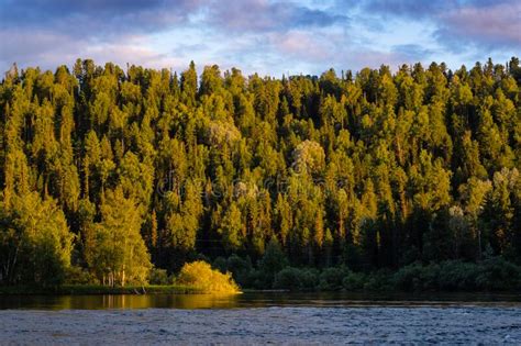 Beautiful Mountain River With Forest Banks In Sunset Glow Reflected On