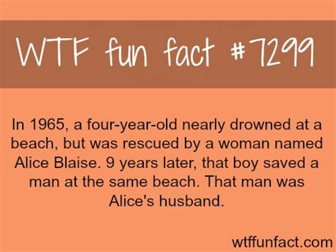 Wtf Facts Funny Interesting And Weird Facts — Do You Believe In Karma