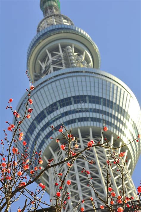 Tokyo Sky Tree Tower In Sumida Ward Tokyo Japan Editorial Stock Image
