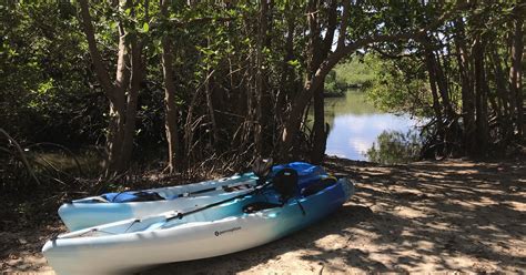 Discover Kayaking Trail At St Lucie Inlet Preserve State Park Laurie
