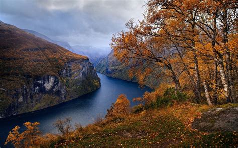 Autumn Trees Along The Fjord