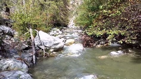 Gold Prospecting Los Angeles Azusa Canyon East Fork Of The San Gabriel River YouTube