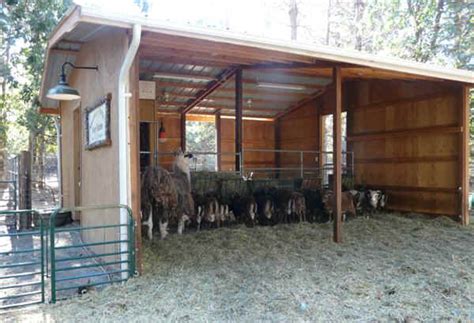 Kirimkan ini lewat email blogthis! Southern Oregon Soay Sheep Farms: Shelter and Fencing