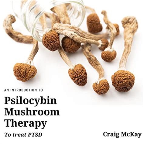 An Introduction To Psilocybin Mushroom Therapy To Treat Ptsd By Craig