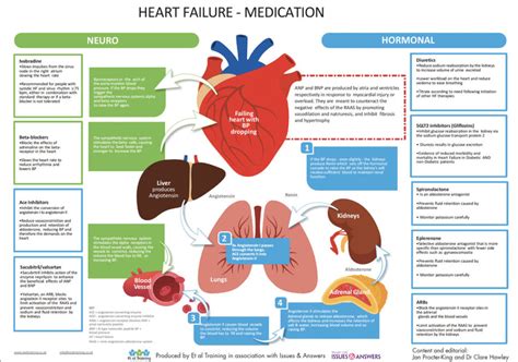 Back To Basics Heart Failure Medication Issues And Answers