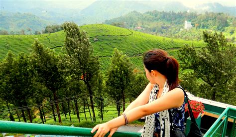 Romantic Munnar In Kerala India Travel Moments