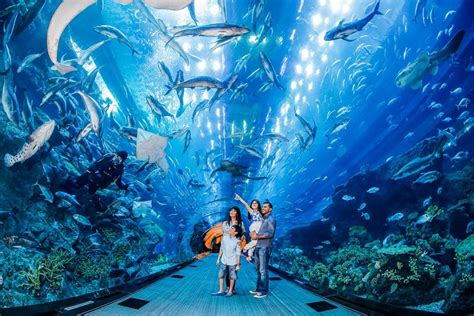 10 Fascinating Facts About Dubai Mall Your Dubai Guide