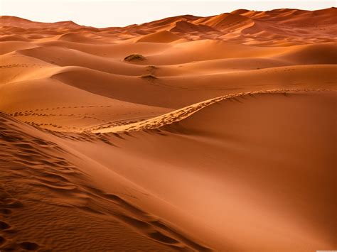 Hình Nền Sa Mạc đẹp Top Những Hình Ảnh Đẹp
