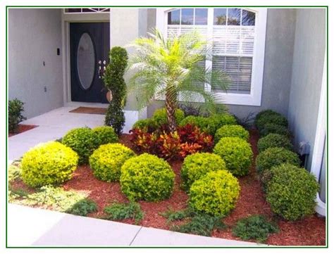 18 best images about landscaping with palm trees on Pinterest | Small yards, Front yards and ...