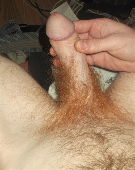 Fdscf2578 In Gallery My Hairy Dick From Trimmed To