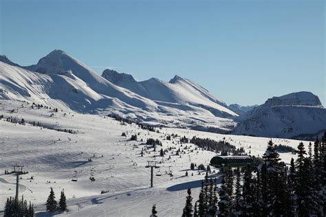 Sunshine Village Banff National Park All You Need To Know Before You Go
