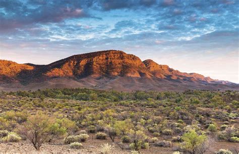 Mount Chambers Flinders Ranges Sa Australie Toursaustralie Tours