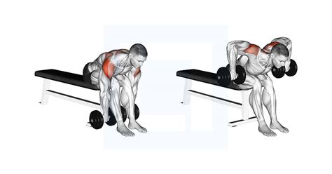 Dumbbell Seated Bent Over Rear Delt Row Guide Benefits And Form