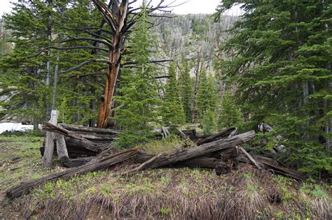 Tobacco Root Mountains Day Hikes Backcountry Post