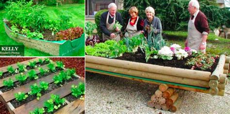 Make a pretty vegetable garden with recyclable materials : 8 ideas