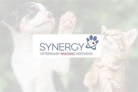 about chesapeake veterinary surgical specialists maryland