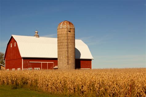 A Red Barn With A Silo And A Surrounding Corn Field Stock Photo