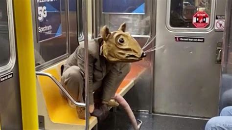 Viral Tiktok Video ‘buddy The Rat Rides New York City Subway