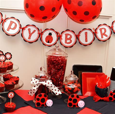 Ladybug Party Decorations | ladybug party ideas | Party All Ready | Ladybug party theme, Ladybug ...