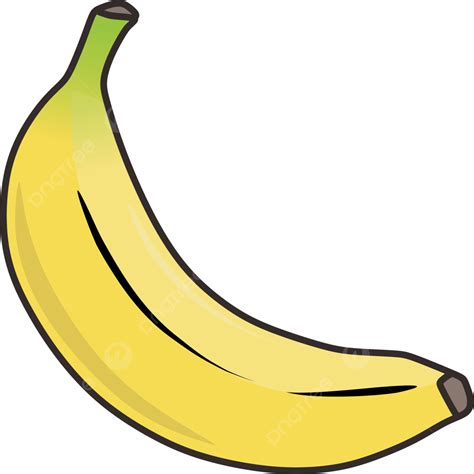 Fruit Banana Yellow And Green Vector Banana Fruit Food Png And