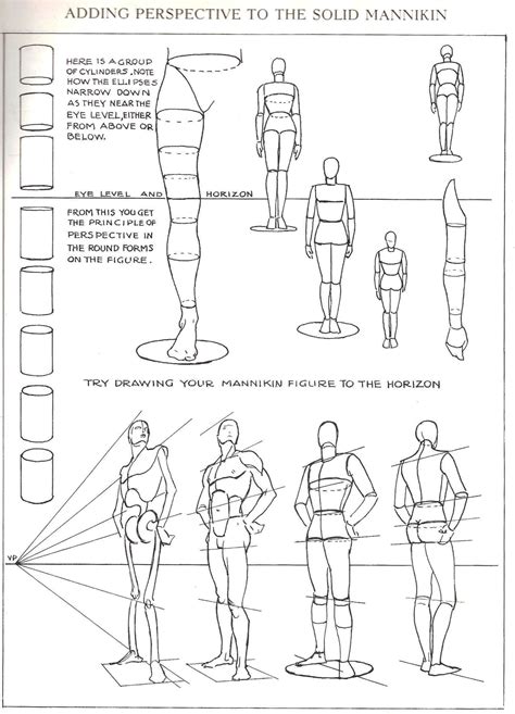 Cool Draw Human Figure Perspective References Chic Way