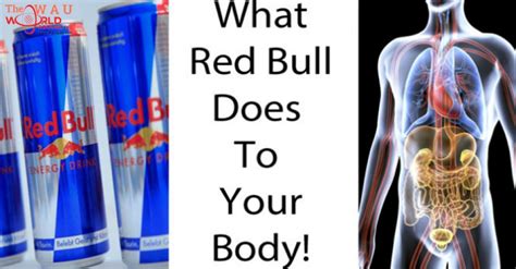 how your body reacts to drinking red bull you will never drink this again after reading this