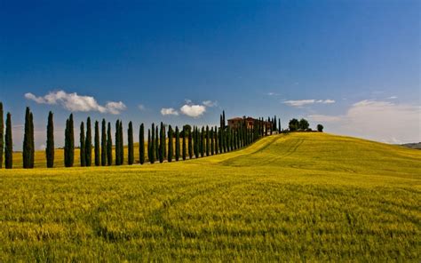 landscapes nature fields italy siena toscana val dorcia cipressi ...
